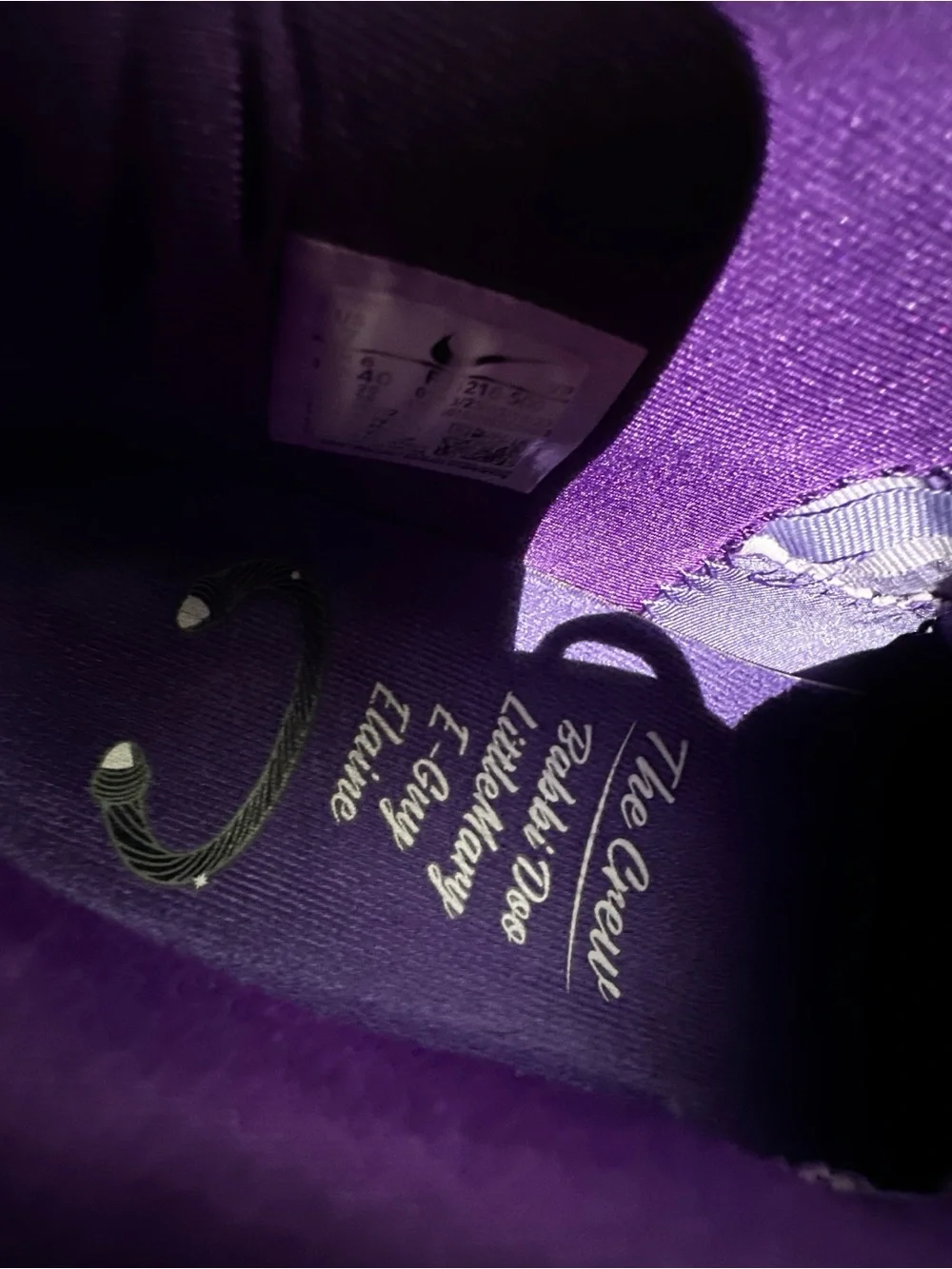 Nike KD 15 B.A.D. Men's -FJ216- 500 Space purple. Size:7